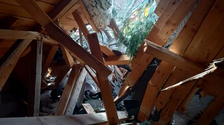 FOTO | Cabană distrusă în stațiunea Călimănești, după ce doi brazi au fost doborâți de vântul puternic
