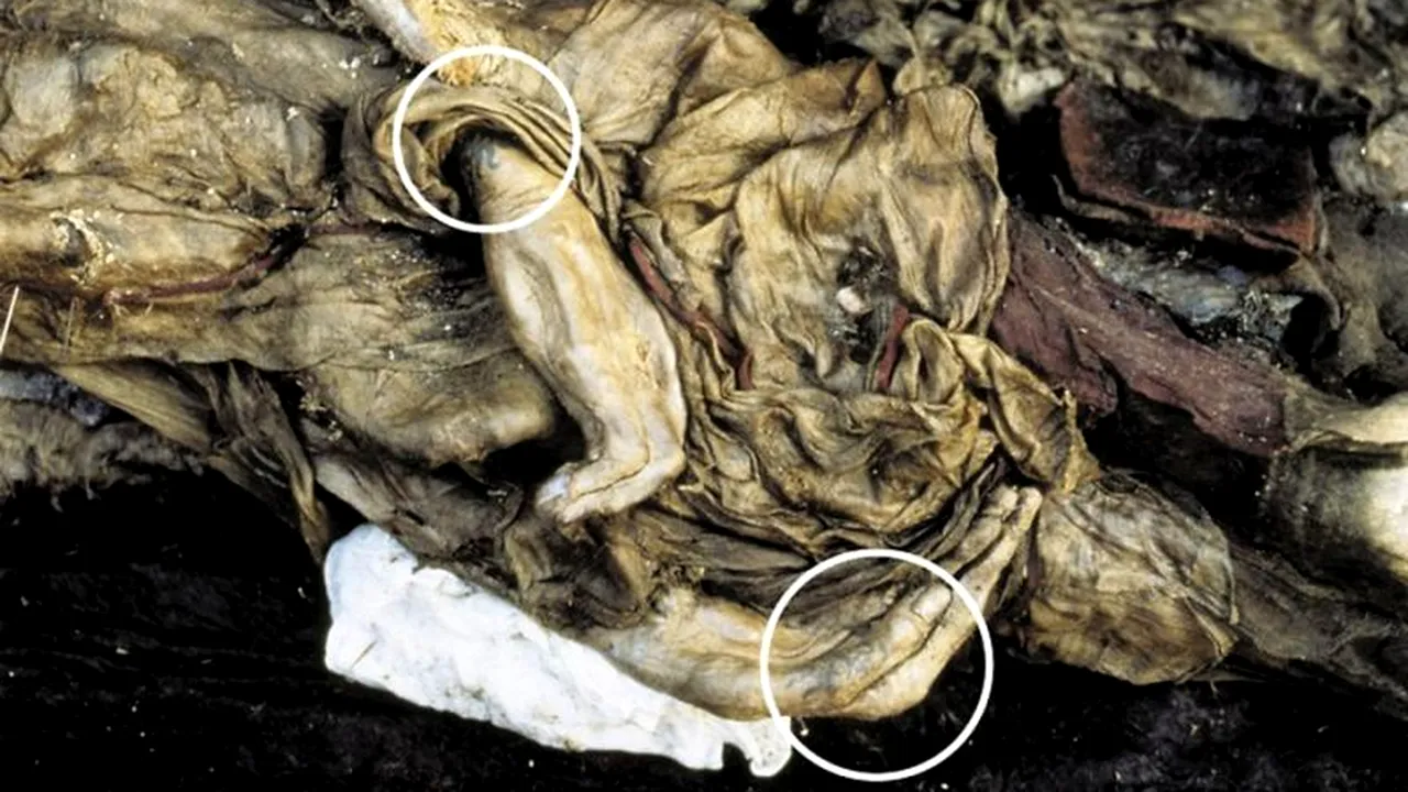 GALERIE FOTO. Tatuaje vechi de 2.500 de ani, descoperite pe mumia unei prințese din Siberia