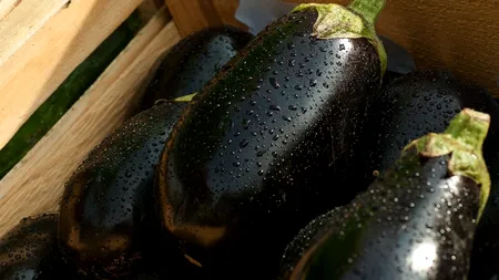 O româncă a inventat berea din coajă de vinete