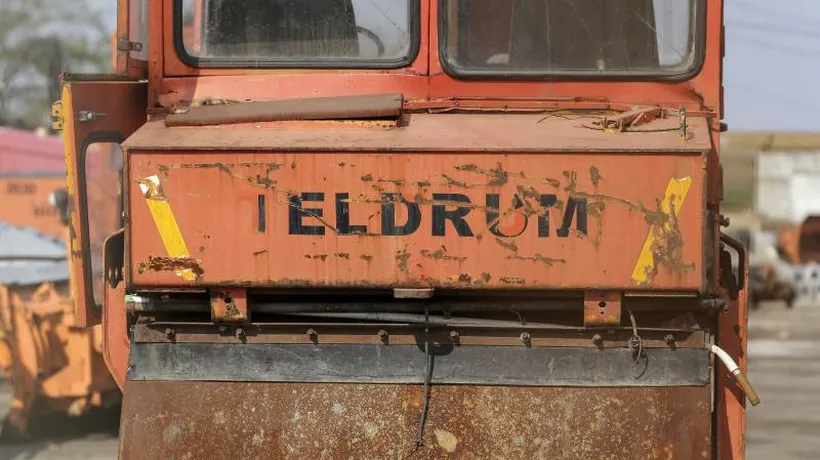 Seism în „imperiul” lui Dragnea: TelDrum cere insolvența fermei de porci Salcia