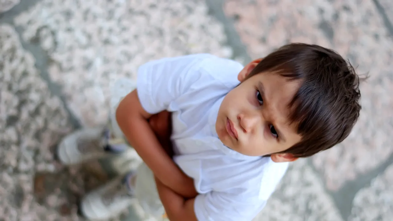 Ipoteza unui neurolog: ADHD nu există