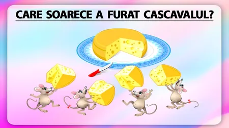 Test de logică | Care dintre cei 4 șoricei a furat bucata de cașcaval?