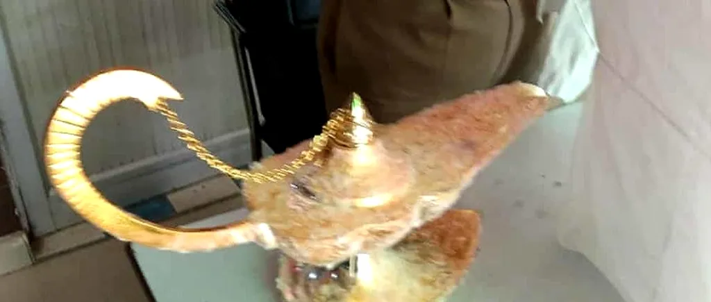 Doi bărbați din India i-au vândut unui doctor Lampa lui Aladin, cu 93.000 de dolari. Ce a făcut medicul când a văzut că aceasta nu funcționează