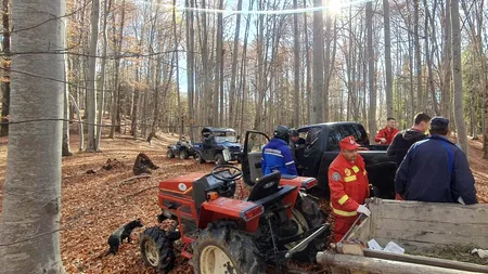 Un bărbat din Argeș a fost atacat de urs, în Corbeni. Un echipaj SMURD a intervenit la fața locului