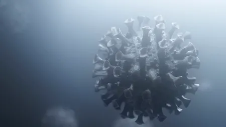 „Tulpina indiană“, a patra mutaţie a SARS-CoV-2. Infectările au crescut de trei ori în India 