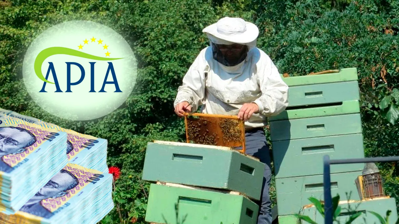 APIA începe plățile către agricultori. Câți bani primesc apicultorii începând de azi