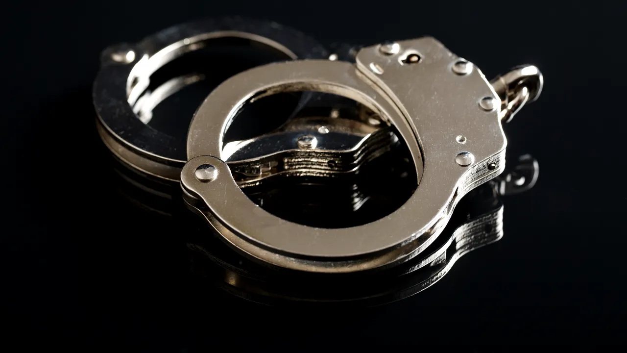 Două eleve de 14 ani au fost arestate în SUA. Fetele sunt suspectate că au plănuit uciderea a nouă persoane 