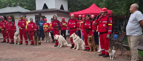 Câinii SALVATORI din Craiova au plecat în Turcia: „Toți sunt antrenați pentru astfel de misiuni”