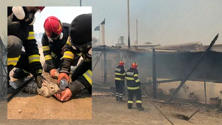 FOTO | Pompierii români au început misiunea de stingere a incendiilor de vegetație în insula Rodos