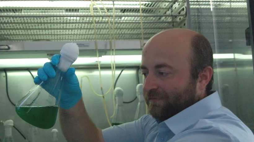 Cercetătorul și studenta din Sălaj care încearcă să culeagă din plante un LEAC PENTRU CANCER