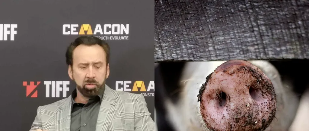 Nicolas Cage, în rolul unui căutător de trufe care își pierde scroafa de urmă