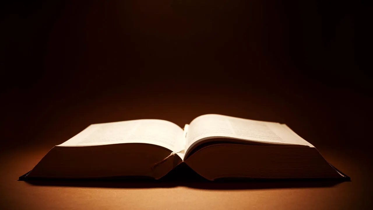 Câte litere are cel mai lung CUVÂNT din vocabularul limbii române