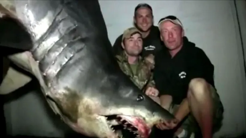 VIDEO. Ce a găsit o cercetătoare în stomacul celui mai mare rechin mako disecat vreodată