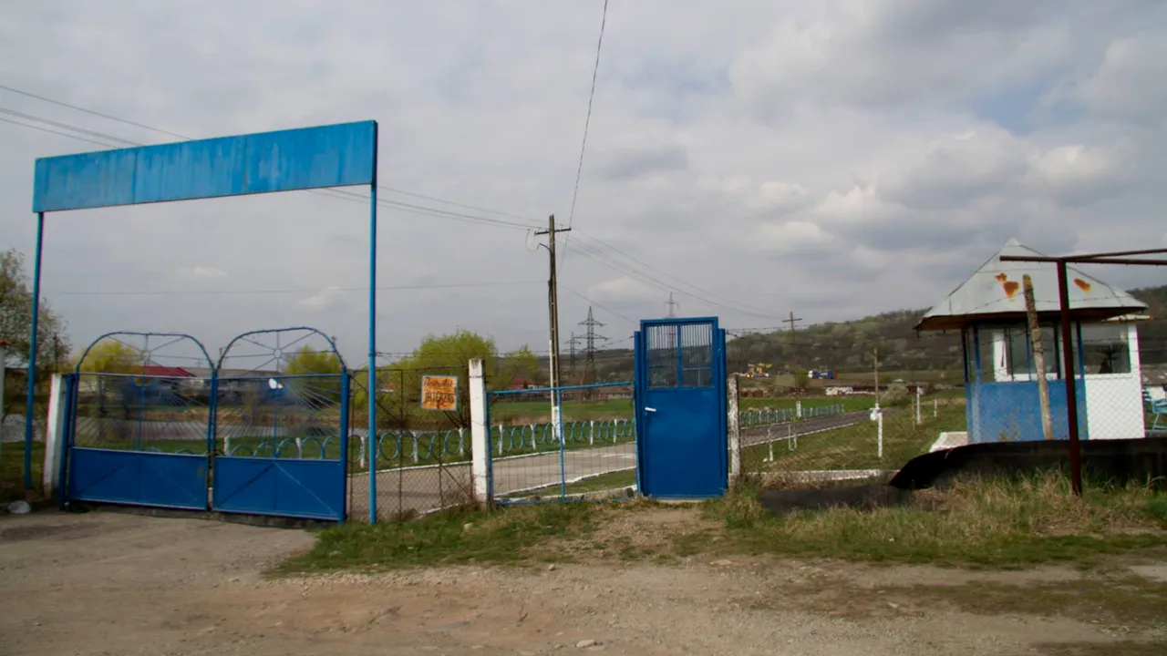 #DIZGRAȚIAȚII. Agricultorii din închisori: povestea deținuților de la ferma Penitenciarului Târgu Jiu