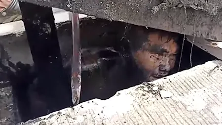 Un traficant de droguri s-a ascuns de polițiști într-o canalizare și a rămas blocat. După 24 de ore, oamenii legii l-au salvat: „Nu credeam că voi scăpa cu viață