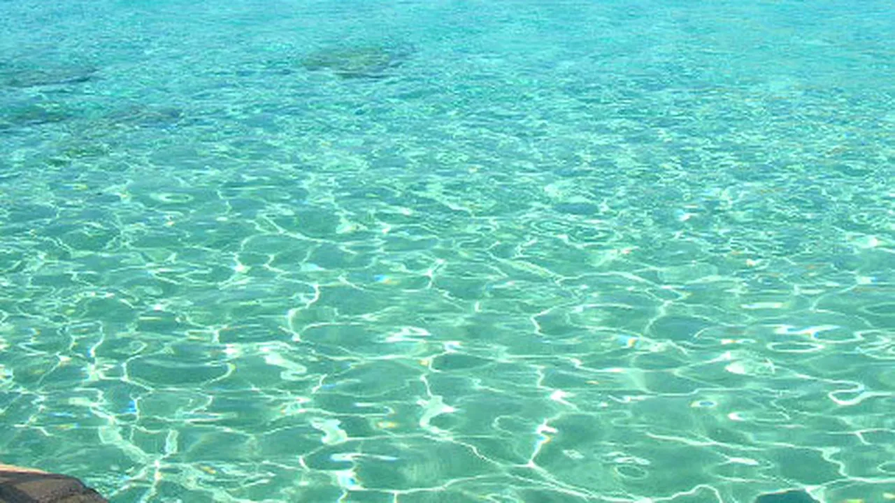 „Mediterana