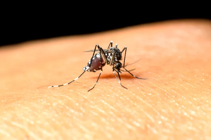 INSP: Încă un caz de infectare cu West Nile a fost depistat în România