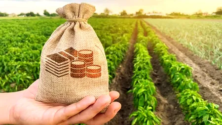 Fermierii îi cer lui Cîțu să revină asupra sumelor alocate pentru ajutoarele naționale tranzitorii