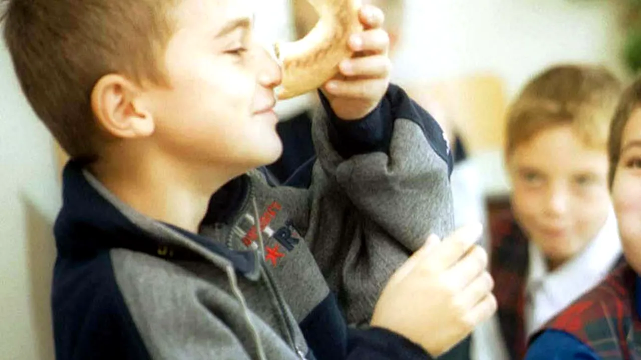 ELEVII din Sectorul 2 au găsit în CORNURI materiale textile