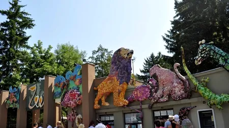 Intrare gratuită, sâmbătă, la Grădina Zoologică București