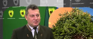 EXCLUSIV VIDEO | Operațiunea „Brazii de CRĂCIUN”. Director Romsilva: „Tendința este de a diminua în casele noastre pomul natural”