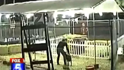 VIDEO. Furt bizar. De ce a fost luată o capră dintr-o fermă 