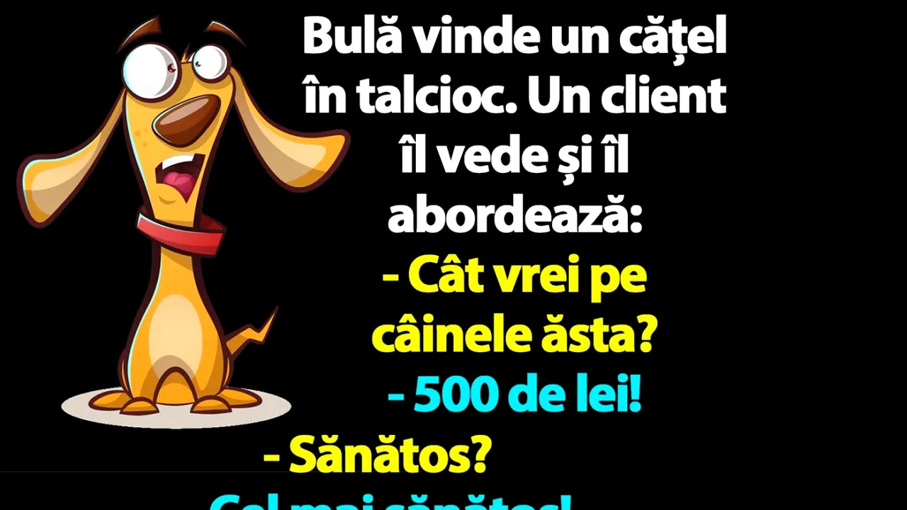 BANC | Bulă vinde un cățel în talcioc