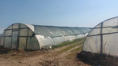 Românii care pot obţine 200.000 de euro de la stat pentru PROGRAMUL 