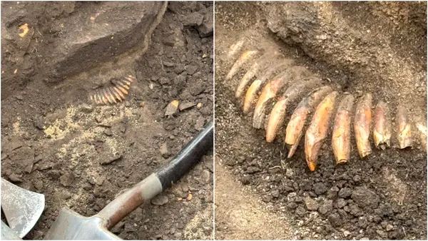 Descoperire incredibilă în Polonia. Colier vechi de 5.000 de ani, care ar putea conține dinți umani, găsit într-un mormânt