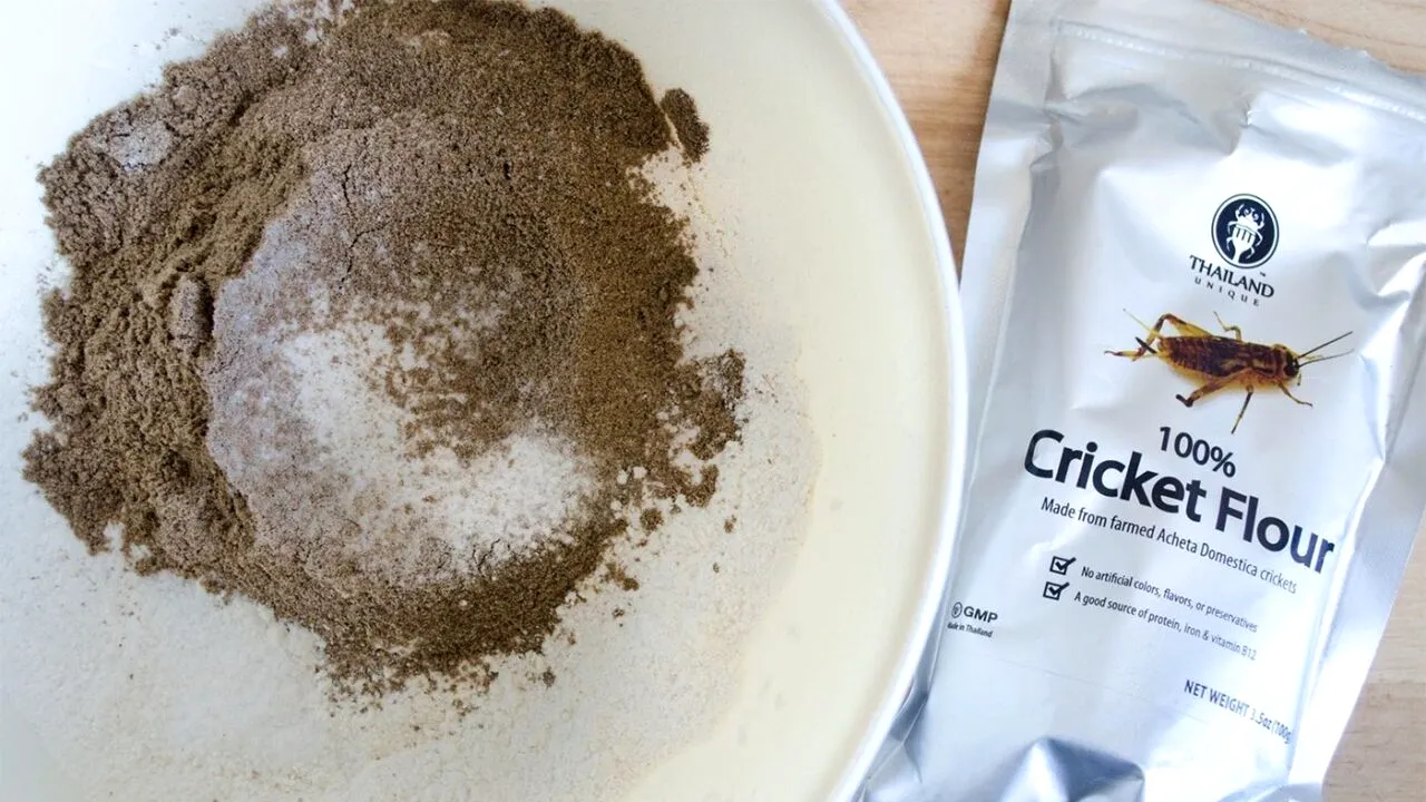 Ce mănâncă, de fapt, GREIERII din care se face făină. Acest produs a apărut deja în supermarketurile din România