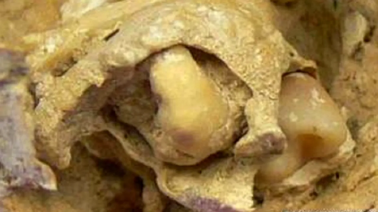 Descoperirea arheologilor spanioli: 