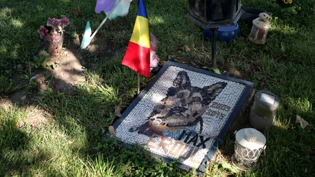 Oamenii au creat un loc de veci pentru animale și l-au numit ”Raiul Animalelor”. Aici e și MAX, singurul câine înmormântat cu onoruri militare (REPORTAJ)