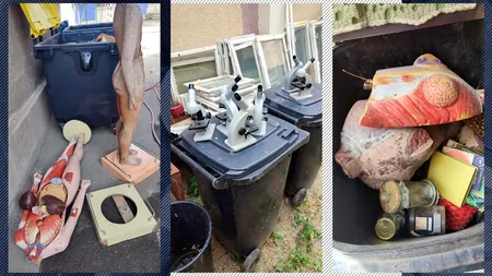 Anchetă la Liceul de Artă din Craiova. Recipiente cu reactivi și cadavre, aruncate la gunoi