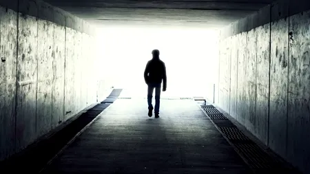 Anunțul unui profesor universitar: 