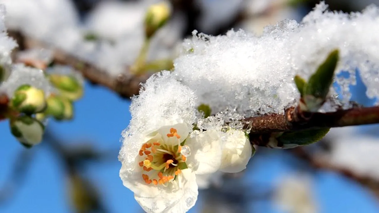 Primăvara 2021, cea mai rece din ultimii 30 ani. Începutul de vară, recorduri negative ale temperaturii
