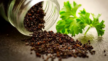 Unic în România: O asociație a găsit o soluție inedită pentru salvarea semințelor țărănești