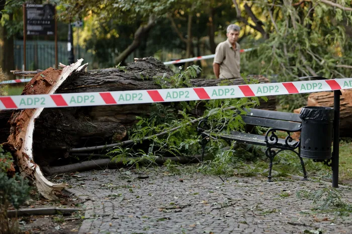 Furtuna a făcut ravagii și în Parcul Grădina Icoanei din București / Sursa foto: Alexandra Pandrea (GÂNDUL)
