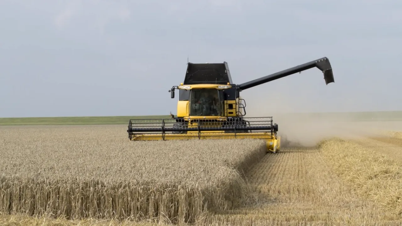 Petre Daea, anunț de ultimă oră despre importul de CEREALE din Ucraina. Cum vor fi afectați producătorii români