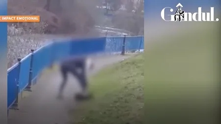 GÂNDUL LIVE. O femeie din Cluj-Napoca și-a lovit câinele cu sălbăticie