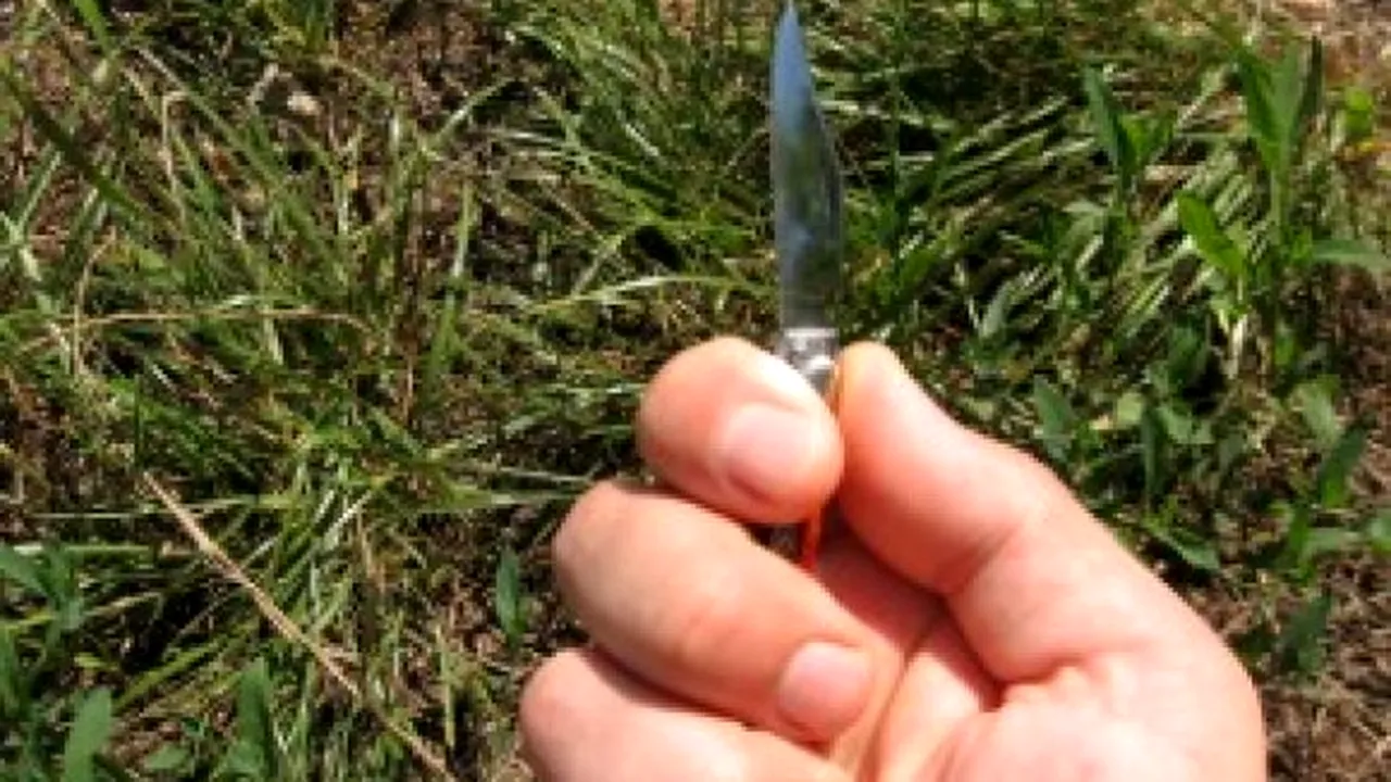 Doi elevi s-au certat de la o datorie și unul dintre ei a scos briceagul: ce a pățit colegul de clasa a XI-a și care este starea lui acum