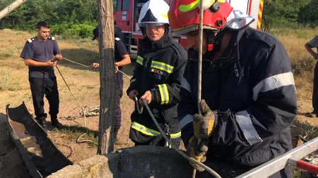 Incident fatal în Dolj: Doi ciobani au fost găsiți înecați într-o fântână de lângă o stână - FOTO