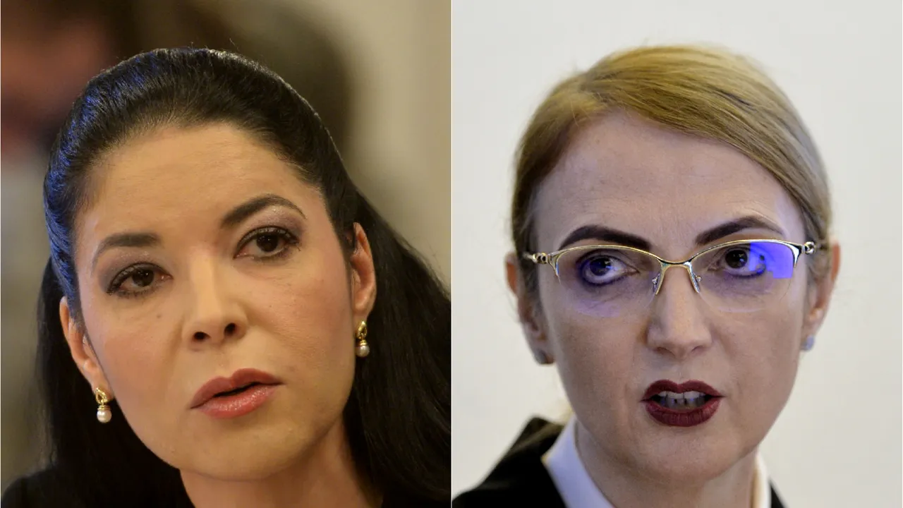 Birchall vs. Savonea. O nouă ceartă în CSM: Birchall: Să nu dați lecții ministrului / Savonea: Tocmai am răspuns că...