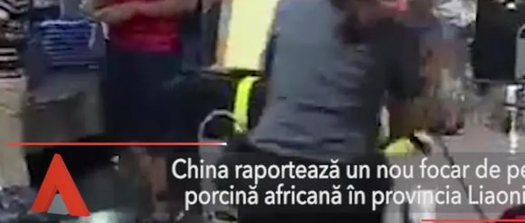 China, un nou focar de PESTĂ PORCINĂ AFRICANĂ în provincia Liaoning