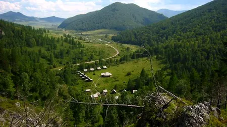 Un nou tip de virus uriaș a fost descoperit în Siberia