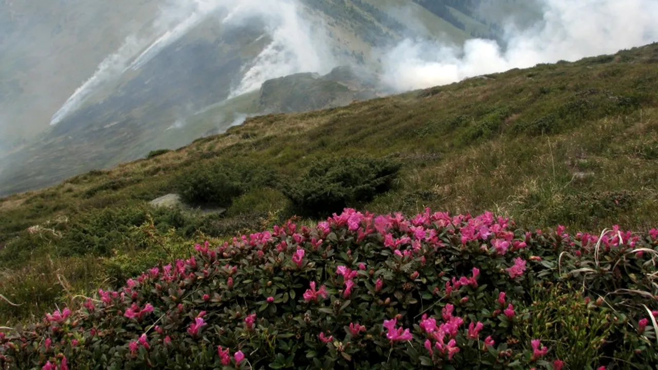 Patru turiști rătăciți în Munții Rodnei, salvați după o operațiune de salvare de opt ore