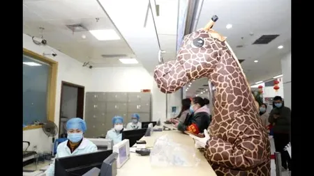 O femeie a adus puțină veselie într-un spital din China, după ce a apărut îmbrăcată cu un costum de girafă - VIDEO