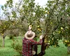 Un muncitor român a murit în Spania, la cules de fructe. I s-a făcut rău, după ce a lucrat la 41 de grade Celsius