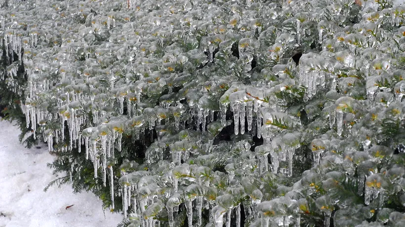 România, lovită de un val de aer polar. ANM anunță temperaturi de -15 grade Celsius/Unde va ninge viscolit