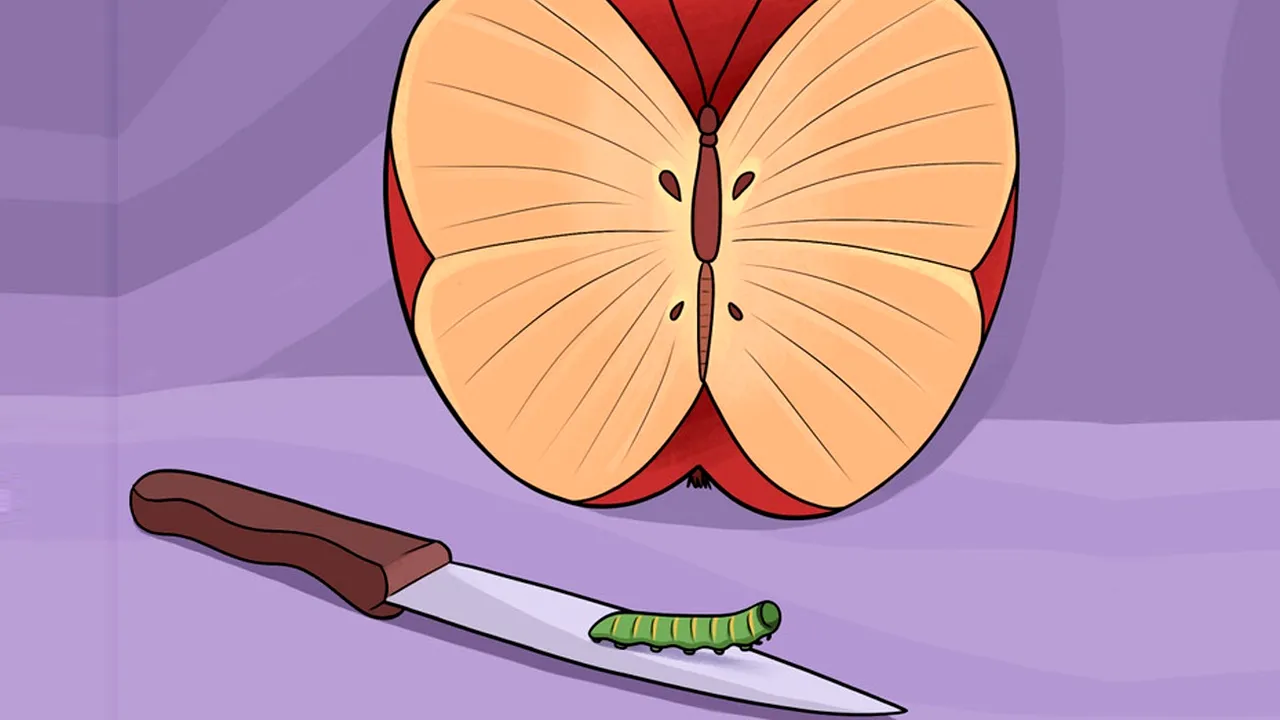 Test IQ psihologic | Ce ai văzut prima dată în această poză? Răspunsul îți evidențiază cea mai mare frică