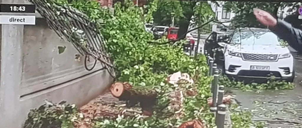 Un pom a căzut peste gardul sediului PNL din București, după furtuna care a devastat Capitala